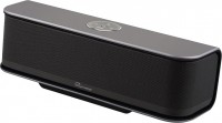Photos - Portable Speaker Skymaster BT10-20W 