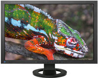 Photos - Monitor Eizo ColorEdge CG243W 24 "  black