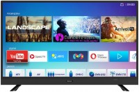 Photos - Television Skyworth 43E3 43 "