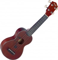 Acoustic Guitar Stagg US20 