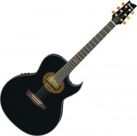 Photos - Acoustic Guitar Ibanez EP5 