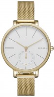 Photos - Wrist Watch Skagen SKW2436