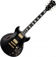 Photos - Guitar Ibanez AM200