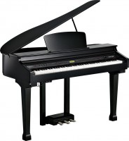 Photos - Digital Piano Kurzweil KAG100 