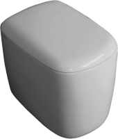 Photos - Toilet Flaminia Mono MN117 
