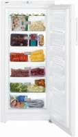 Photos - Freezer Liebherr G 3013 305 L
