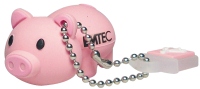 Photos - USB Flash Drive Emtec M319 2Gb 