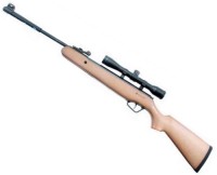 Photos - Air Rifle Stoeger X10 Wood Combo 