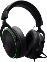 Photos - Headphones Dark Project HS-1