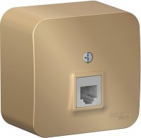 Photos - Socket Schneider Blanca BLNIA011004 bronze