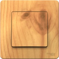 Photos - Household Switch Schneider Blanca BLNVS010605 