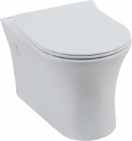 Photos - Toilet AQUANET Roll CL-12249D 