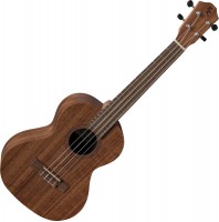 Photos - Acoustic Guitar Baton Rouge UR21-T