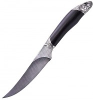 Photos - Knife / Multitool Severnaja Korona Anakonda 
