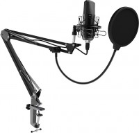 Photos - Microphone Ritmix RDM-169 