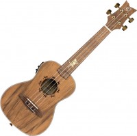 Photos - Acoustic Guitar Ortega LIZARD-CC-GB 