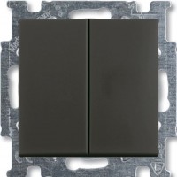 Photos - Household Switch ABB Basic 55 2CKA001012A2181