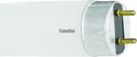 Photos - Light Bulb Camelion FT8 15W 4200K G13 