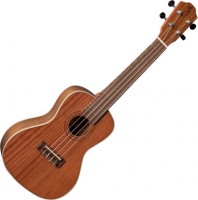 Photos - Acoustic Guitar Baton Rouge V8-C