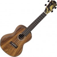 Photos - Acoustic Guitar Baton Rouge Uv91-C-Np 