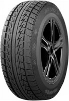 Photos - Tyre Arivo Winmaster ARW1 225/45 R17 94H 