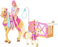 Photos - Doll Barbie Groom and Care Playset GXV77 