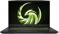 Photos - Laptop MSI Alpha 17 B5EEK (B5EEK-023XUA)