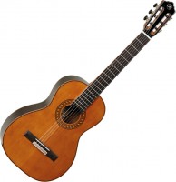 Photos - Acoustic Guitar Tanglewood EM D4 