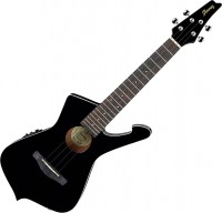 Photos - Acoustic Guitar Ibanez UICT10 