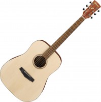 Photos - Acoustic Guitar Ibanez PF10 