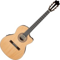 Photos - Acoustic Guitar Ibanez GA34STCE 