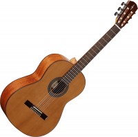 Photos - Acoustic Guitar Alvarez AC65