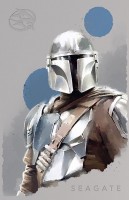 Photos - Hard Drive Seagate FireCuda The Mandalorian STKL2000405 2 TB