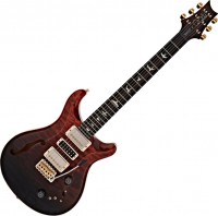 Photos - Guitar PRS Special Semi-Hollow 2021 