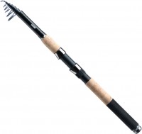 Photos - Rod Jaxon Tenesa Tele Trip 300-40 
