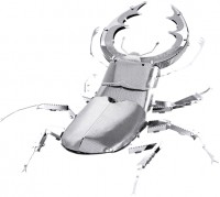 Photos - 3D Puzzle Fascinations Stag Beetles MMS071