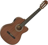 Photos - Acoustic Guitar Samick CNGS6-1