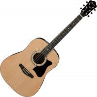 Photos - Acoustic Guitar Ibanez IJV50
