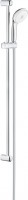 Shower System Grohe Tempesta 100 28789002 