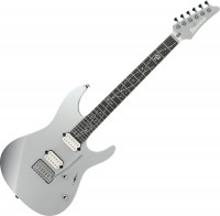 Guitar Ibanez TOD10 