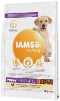 Dog Food IAMS Vitality Puppy Large Breed Chicken 12 kg 