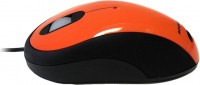 Mouse Accuratus Image Mouse 