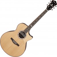 Photos - Acoustic Guitar Ibanez MRC10 