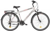 Photos - Bike Indiana X-Road 1.0 M 2022 frame 19 