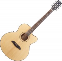 Acoustic Guitar Framus FJ 14 SMV CE 