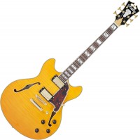 Photos - Guitar DAngelico Excel DC 