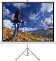 Photos - Projector Screen ART TS-60 152x152 