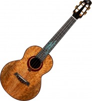 Photos - Acoustic Guitar Flight A10 MM 