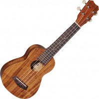 Photos - Acoustic Guitar Islander AS-4 