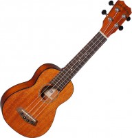 Photos - Acoustic Guitar Islander MSS-4 